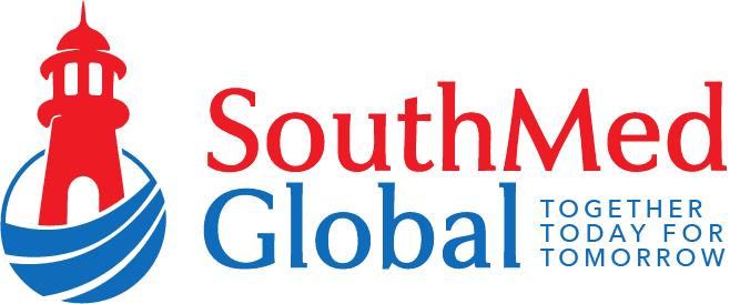 southmed global web design